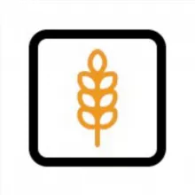 Agrobridges | оголошення на продаж та купівлю зернових 🇺🇦