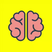 Brainfeed
