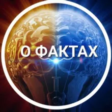 О фактах