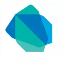 Dart / Flutter