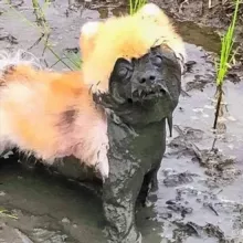 Хаотичные мысли