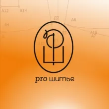 PRO Шитье | онлайн-школа пошива нижнего белья