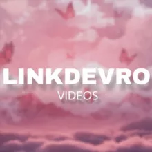 LinkDeVro Backup