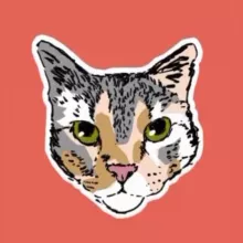 Base de gatos