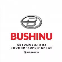 BUSHINUAUTO