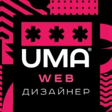 WEB Дизайнеры. Чат
