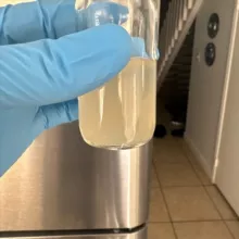 CAT OUT K2 (Sheets, Liquid) 5F-ADB