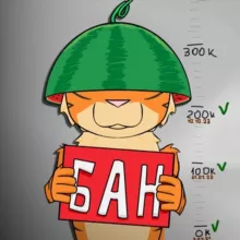 Ну Жди