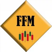 FOREX FUNDAMENTAL MOVES