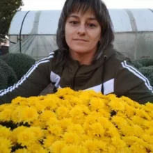 Мультифлора