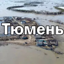 Тюмень ДТП ДПС ЧАТ
