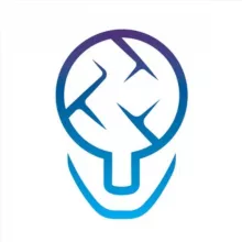 Hidden Gurus - Remote IT