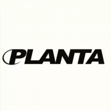 PLANTAROSA.JPG