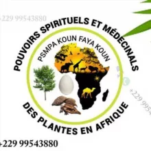 POUVOIRS SPIRITUELS ET MÉDECINALES DES PLANTES EN AFRIQUE ☘☘☘🌿