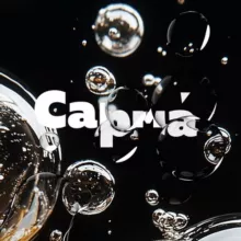 Сарма
