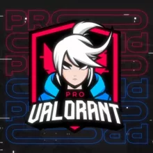 PRO VALORANT