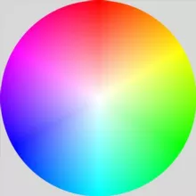 Coolors