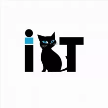 it курсы