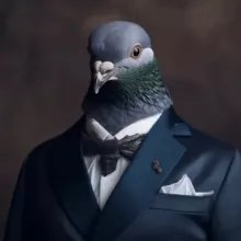 Pigeon Calls