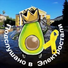 Подслушано в Электростали/Подслушано в МО