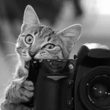 Occasioni Fotografiche e Tech