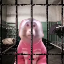 CryptoPrison