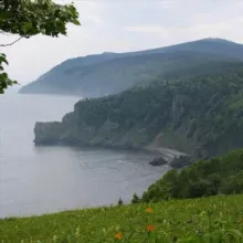 СОВГАВАНЬ.РФ