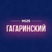 Гагаринский район Москвы М125