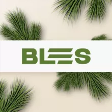 BLES — Більше про ігри