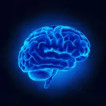 ACCENDI IL CERVELLO 🧠