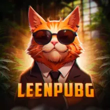 LeenPubg