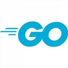 Библиотека Go (Golang) разработчика