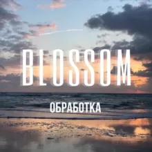 ФОТО | ОБРАБОТКА | ПРЕСЕТЫ 🍒 BLOSSOM
