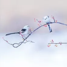 豆瓣讨论