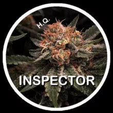 Inspector Cannabis