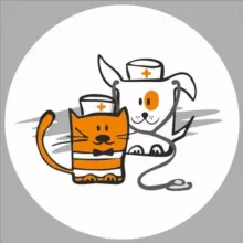 Ветеринарний канал «Пес і Кіт» - територія турботи про здоров‘я улюбленців