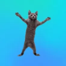 .