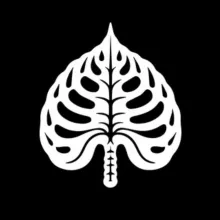 InnocentPlantsShop