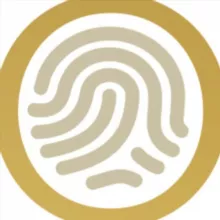 Midas Touch Consulting