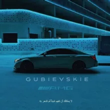 ɢ ᴜ ʙ ɪ ᴇ ᴠ s ᴋ ɪ ᴇ 🚸