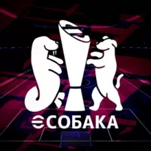 eSobaka Турниры