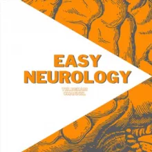 EasyNeurology