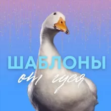 Шаблоны от гуся | SMM | Контент | Монтаж | Мемы