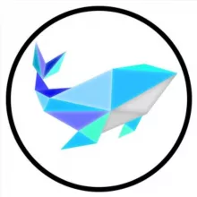 Ballena Digital