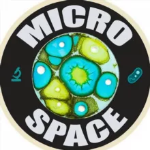 Microspace