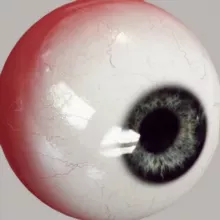 METACOMA