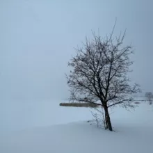 Модест Колеров