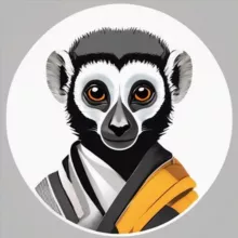 Shif token