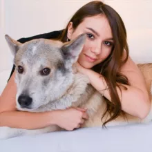 PETS BY KATERINA | валяние