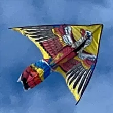 Молодцы
